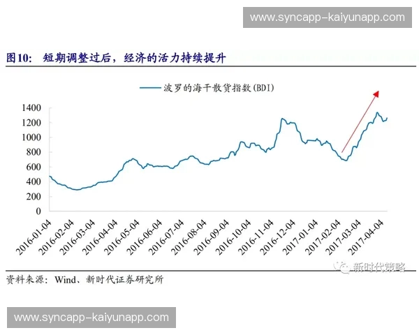 拳击步频：让你的节奏决定胜负的秘密武器